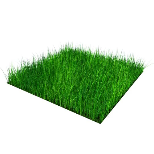 grass block high density 05x05m 3D Model .c4d .max .obj .3ds .fbx .stl .blend 