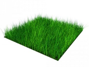 grass block high density 05x05m 3D Model
