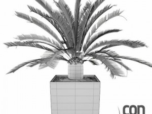 potted plants 3D Модель