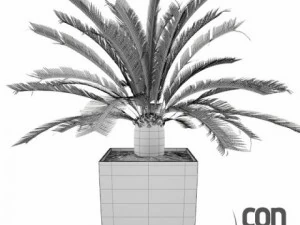 potted plants 3D Model