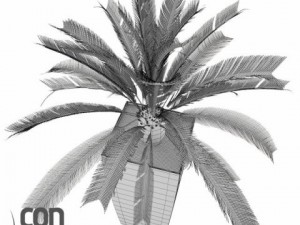 potted plants 3D Модель