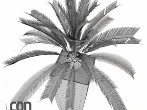 potted plants 3D Model