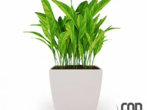 potted plants 3D Model