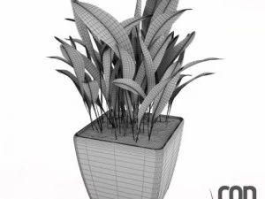 potted plants 3D Model