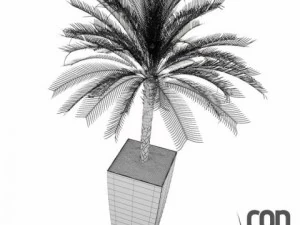 potted plants 3D Model