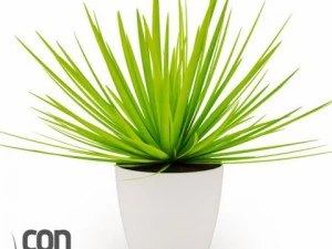 potted plants 3D Model