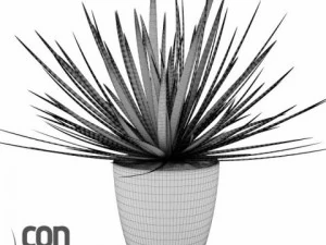 potted plants 3D Model