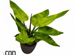 potted plants 3D Model