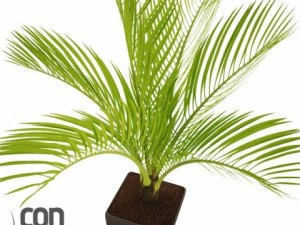 potted plants 3D Model