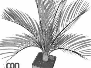 potted plants 3D Model