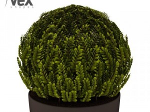 potted plants 3D Модель