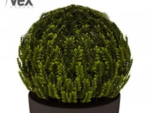 potted plants 3D Model