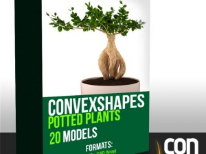 potted plants  c4d Modèle 3D