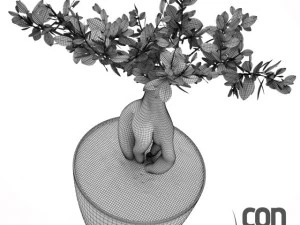 potted plants  vray 3D Model