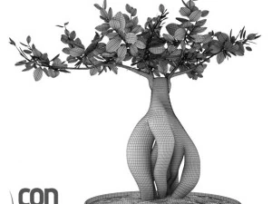 potted plants  vray 3D Model