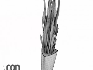 potted plants  vray 3D Model