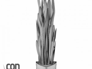 potted plants  vray 3D Model