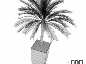 potted plants  vray 3D Model