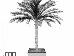 potted plants  vray 3D Model