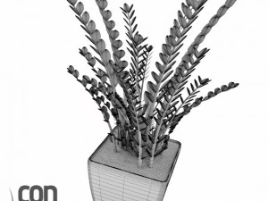 potted plants  vray 3D Model