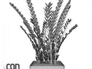 potted plants  vray 3D Model