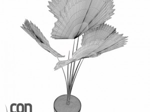 potted plants  vray 3Dモデル