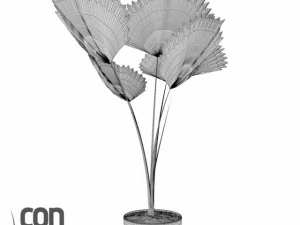 potted plants  vray 3D Model