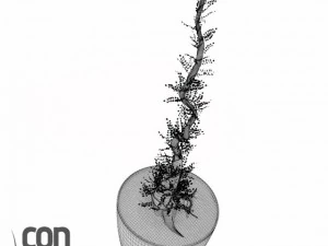 potted plants  vray 3D Model