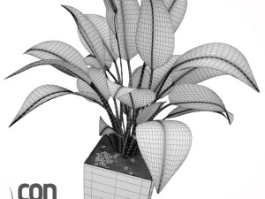 potted plants  vray 3D Model
