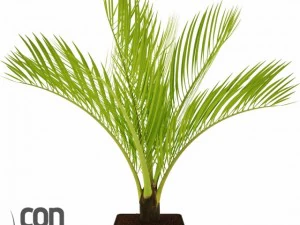 potted plants  vray 3D Model