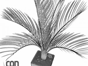 potted plants  vray 3D Model