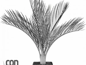 potted plants  vray 3D Model