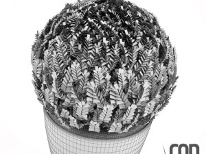 potted plants  vray 3D Model