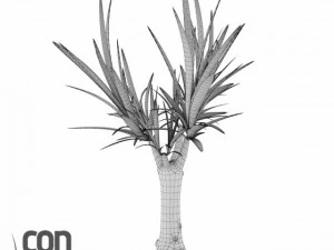 potted plants  vray 3D Model