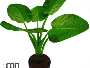 potted plants  vray 3D Model