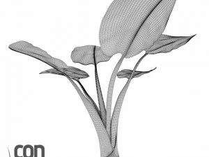 potted plants  vray 3D Model