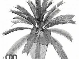 растение в горшке02 3D Модель