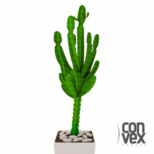 potted plant03 3D Model .c4d .max .obj .3ds .fbx .stl .blend 