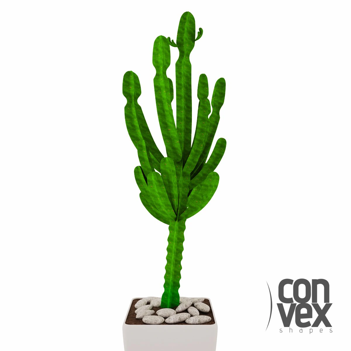 potted plant03 3D Model .c4d .max .obj .3ds .fbx .stl .blend 