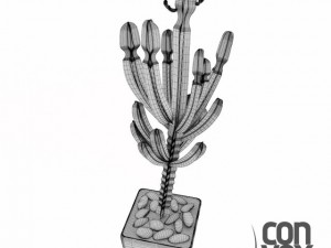 potted plant03 3D Model