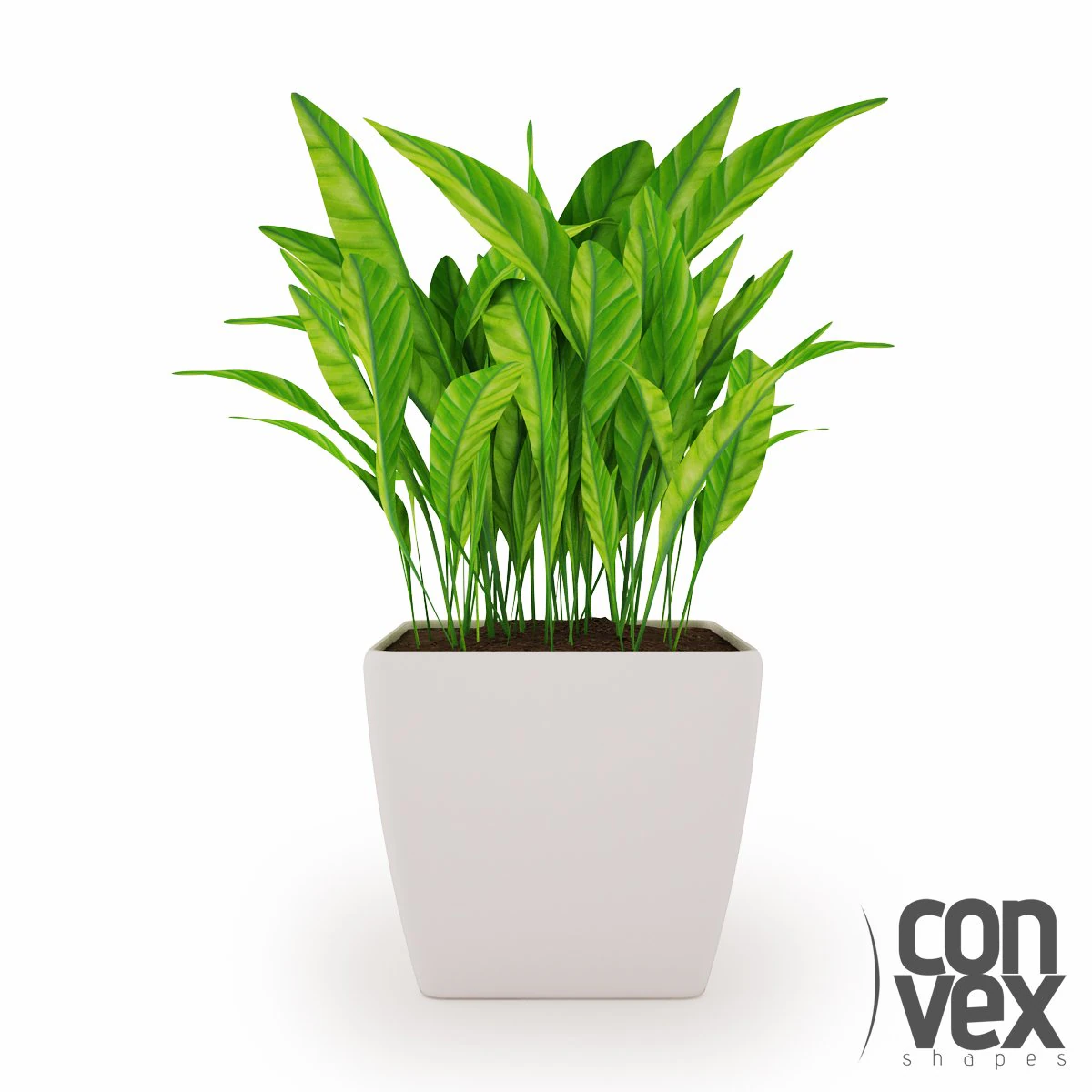 potted plant04 3D Model .c4d .max .obj .3ds .fbx .stl .blend 