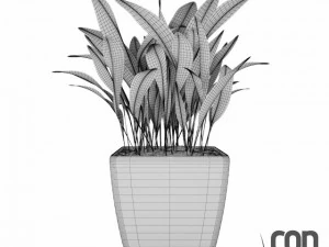 potted plant04 3D Model