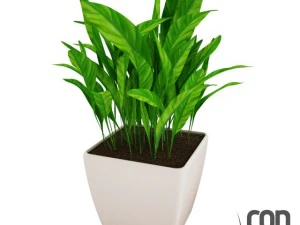 potted plant04 3D Model