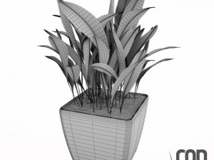 potted plant04 3Dモデル