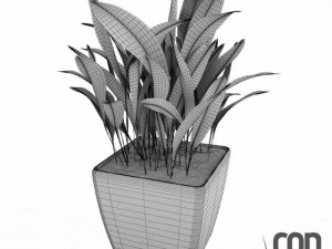 potted plant04 3D Model