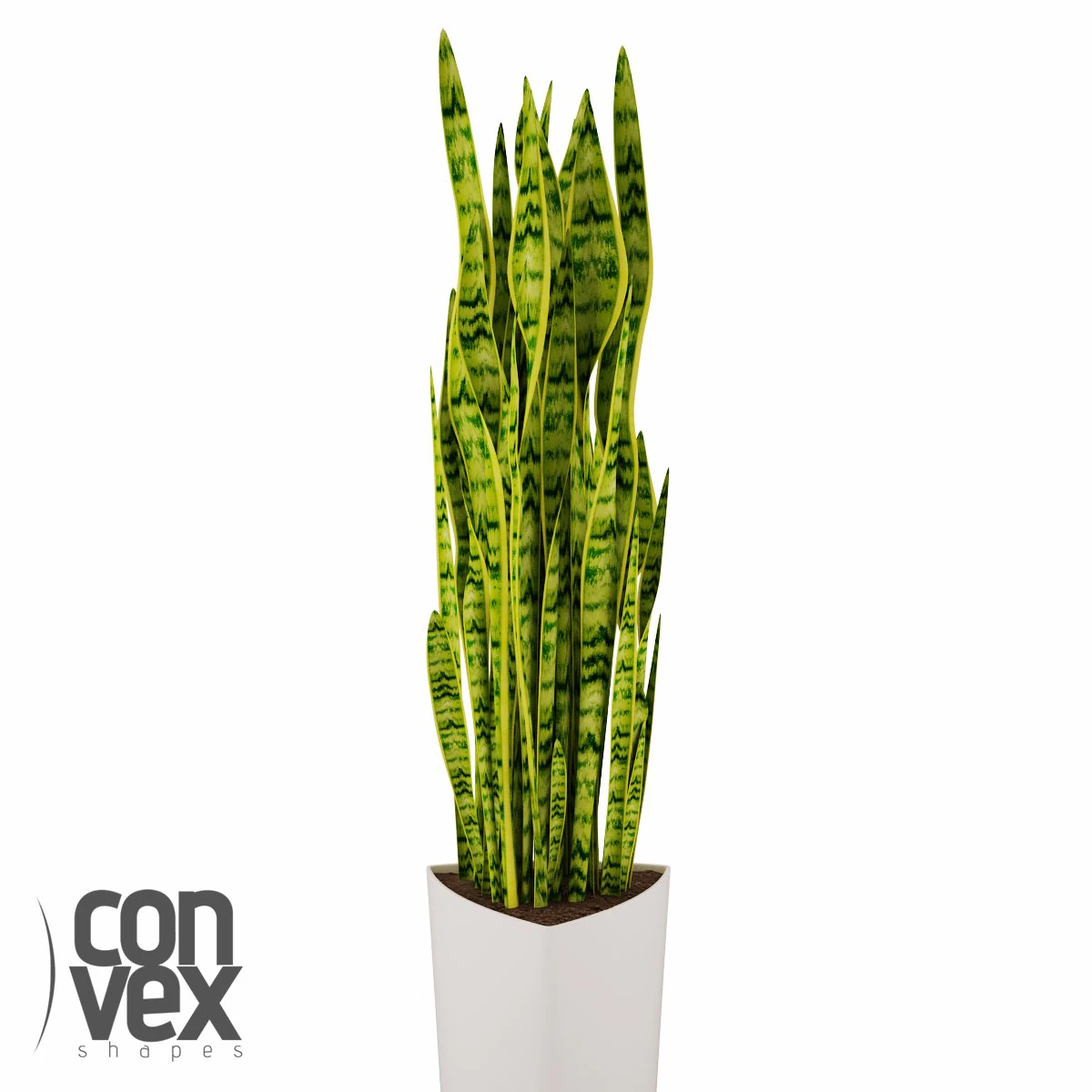 potted plant05 3D Model .c4d .max .obj .3ds .fbx .stl .blend 
