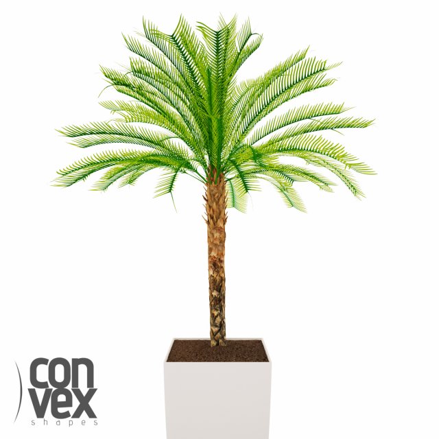 potted plant06 3D Модель .c4d .max .obj .3ds .fbx .stl .blend 