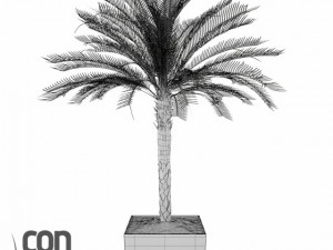 potted plant06 3D Модель