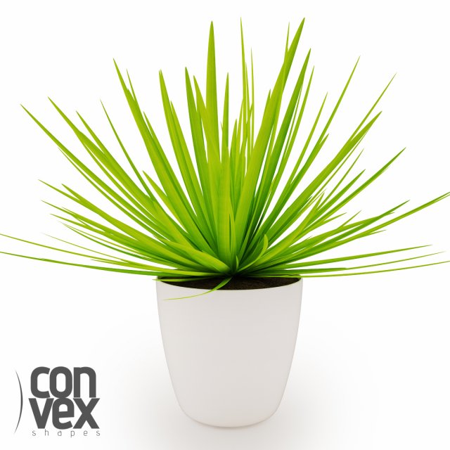 potted plant07 3D मॉडल .c4d .max .obj .3ds .fbx .stl .blend 