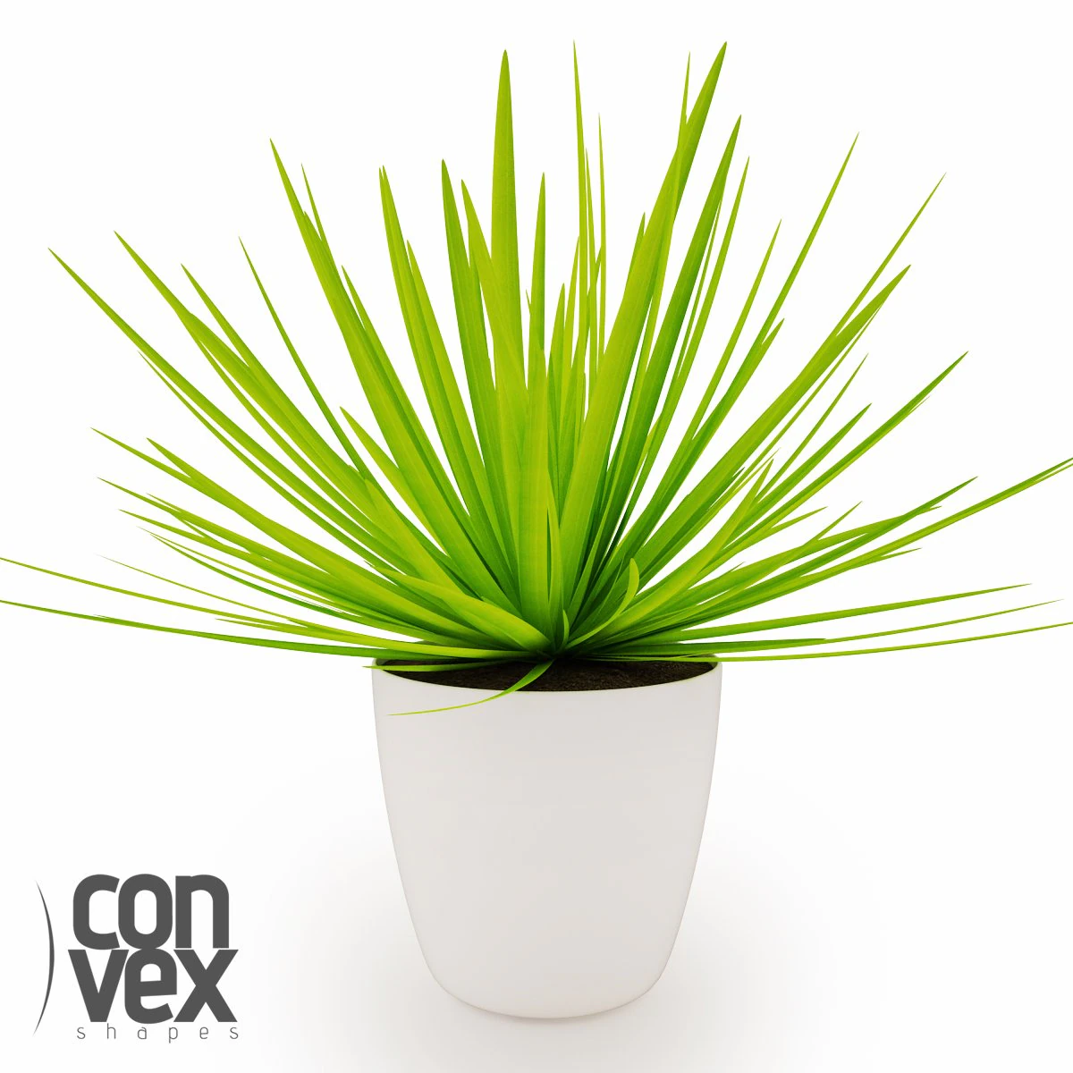 鉢植え07 3Dモデル .c4d .max .obj .3ds .fbx .stl .blend 